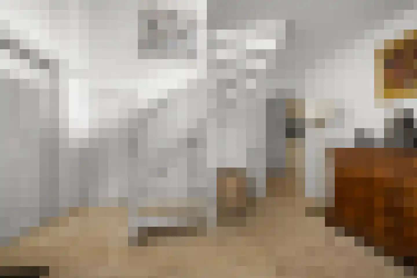 De Burcht 2 Markenbinnen thumbnail 11