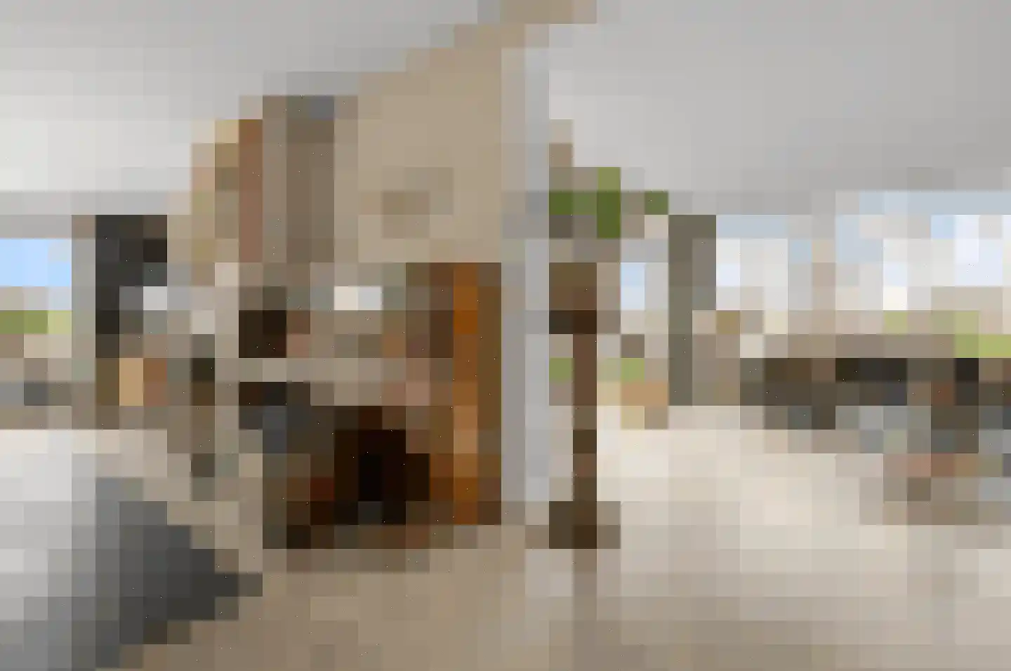 De Burcht 2 Markenbinnen thumbnail 12