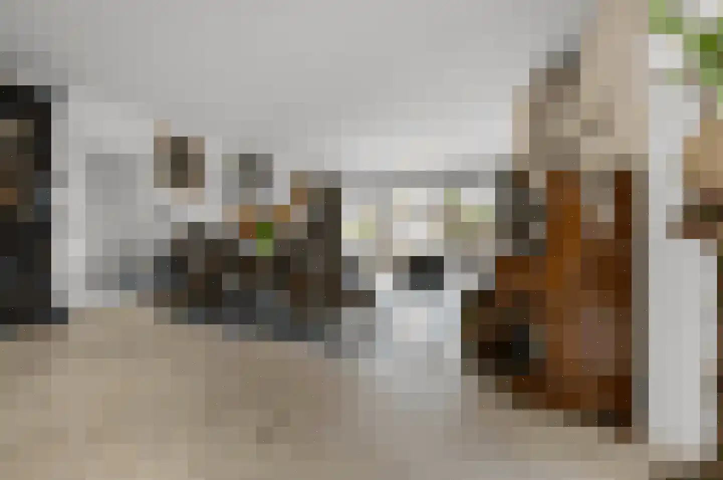 De Burcht 2 Markenbinnen thumbnail 13