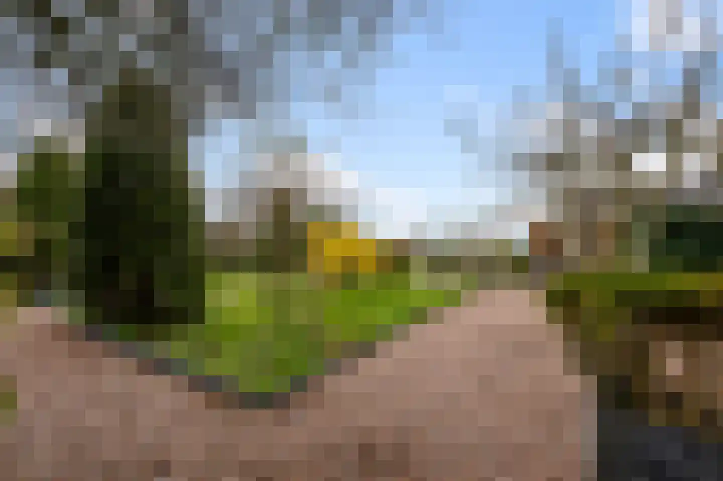 De Burcht 2 Markenbinnen thumbnail 21