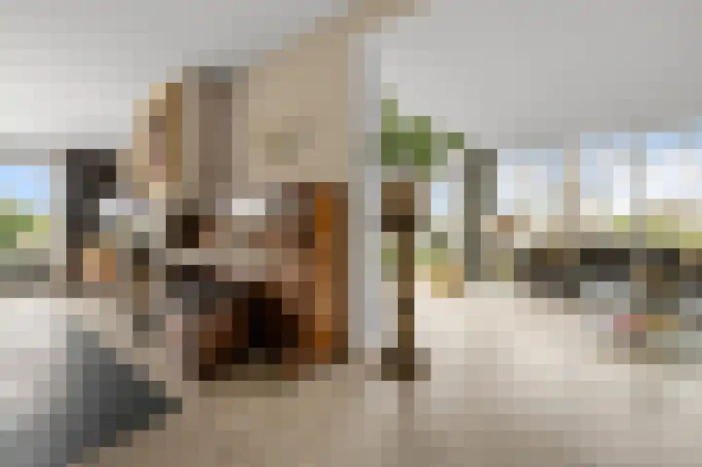 De Burcht 2 Markenbinnen thumbnail 23