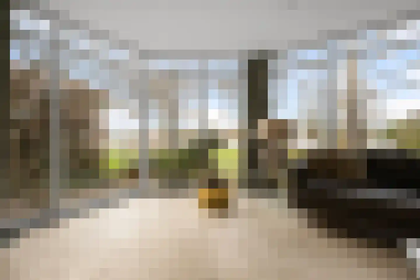 De Burcht 2 Markenbinnen thumbnail 24
