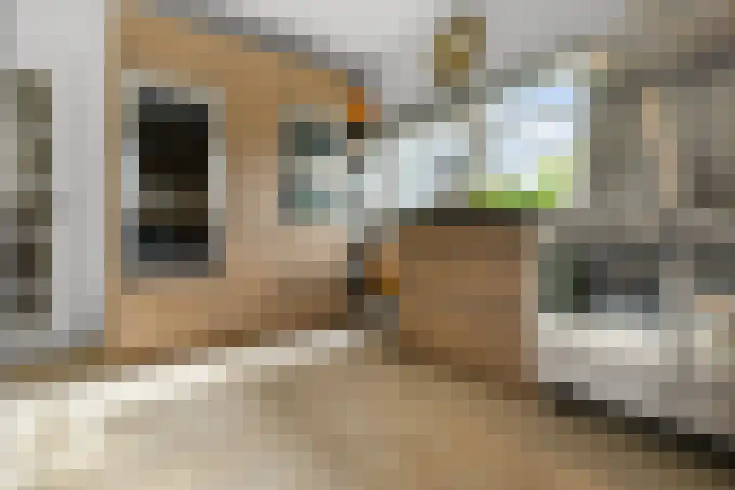 De Burcht 2 Markenbinnen thumbnail 25