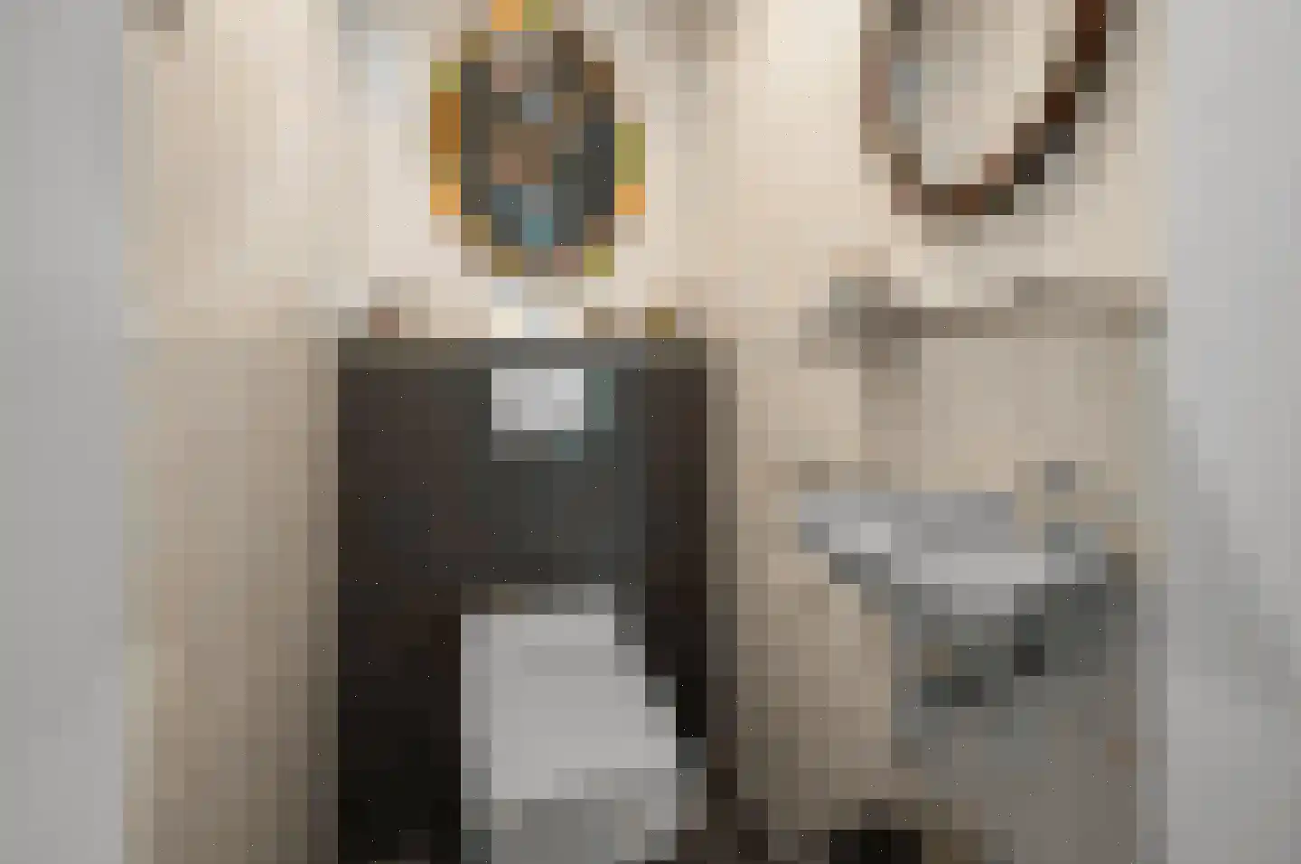 De Burcht 2 Markenbinnen thumbnail 25