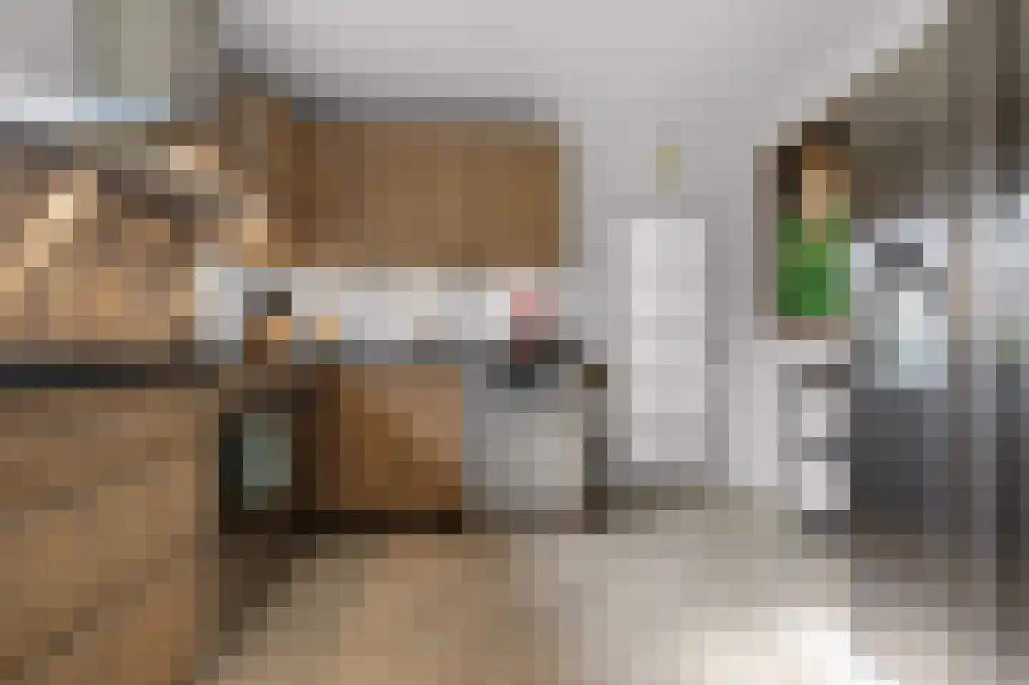 De Burcht 2 Markenbinnen thumbnail 27
