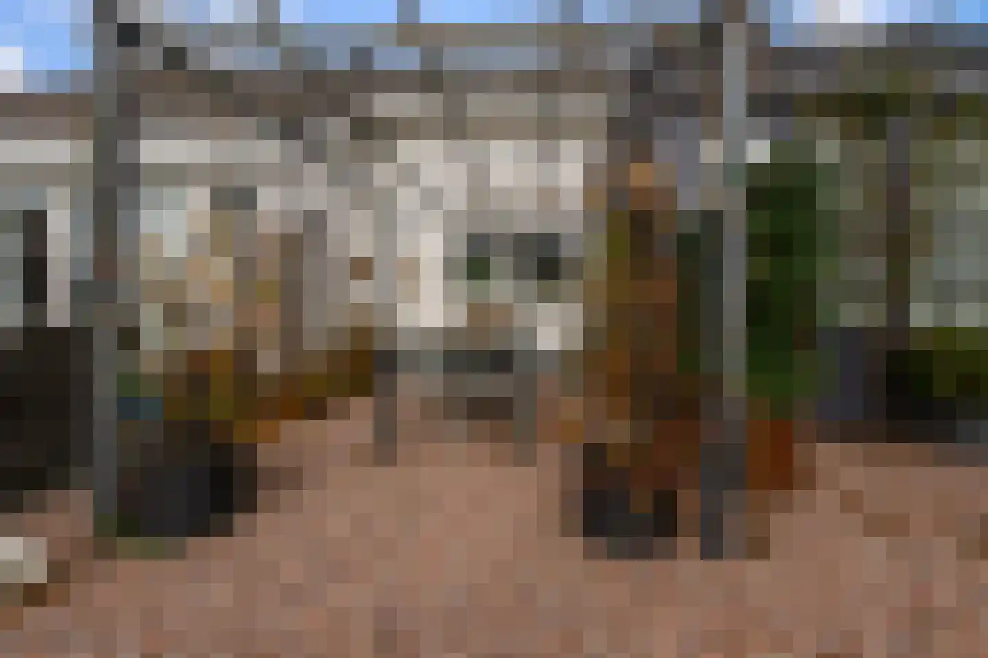 De Burcht 2 Markenbinnen thumbnail 29