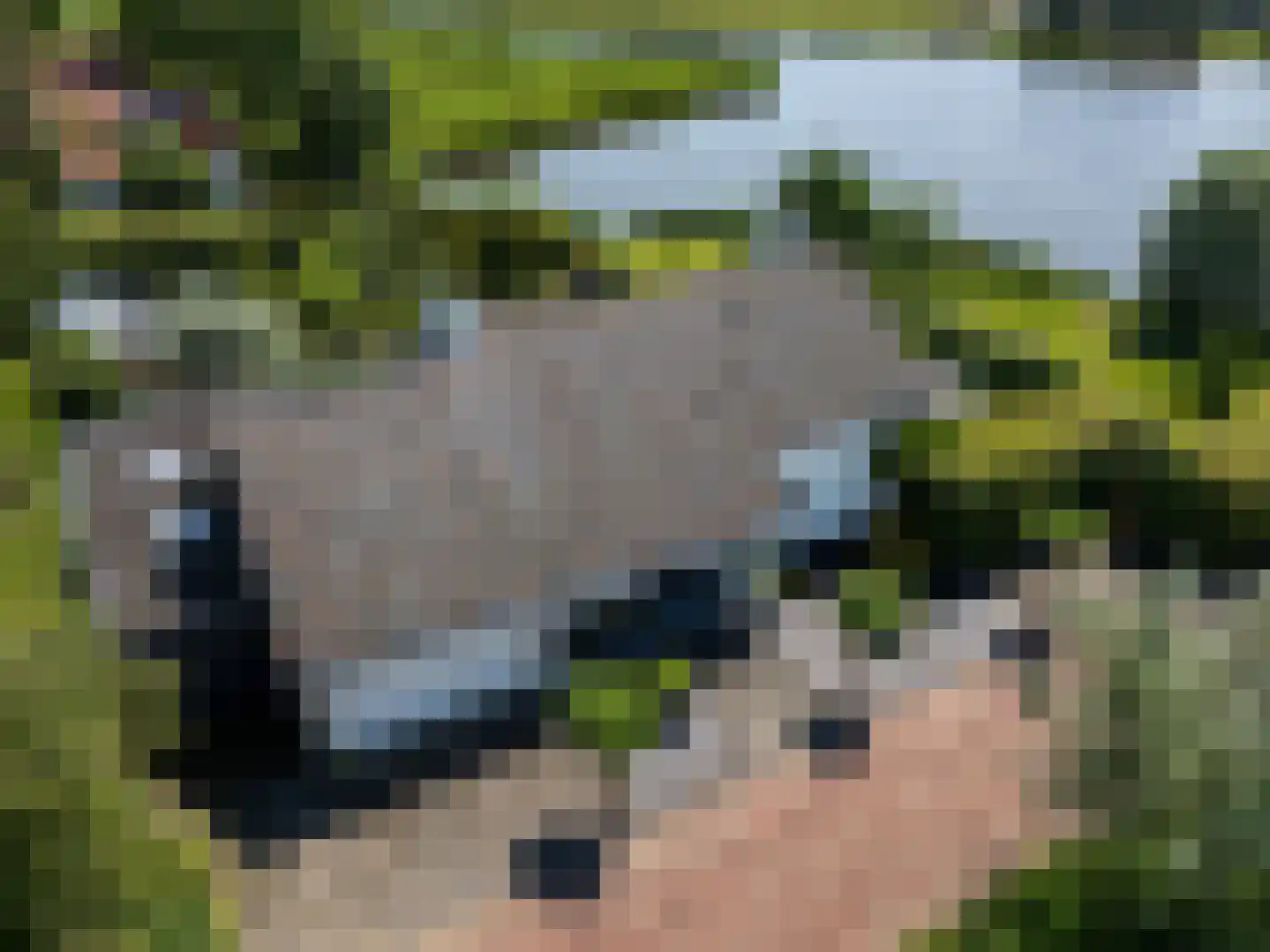 De Burcht 2 Markenbinnen thumbnail 30