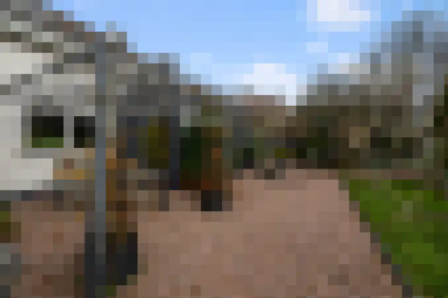 De Burcht 2 Markenbinnen thumbnail 30