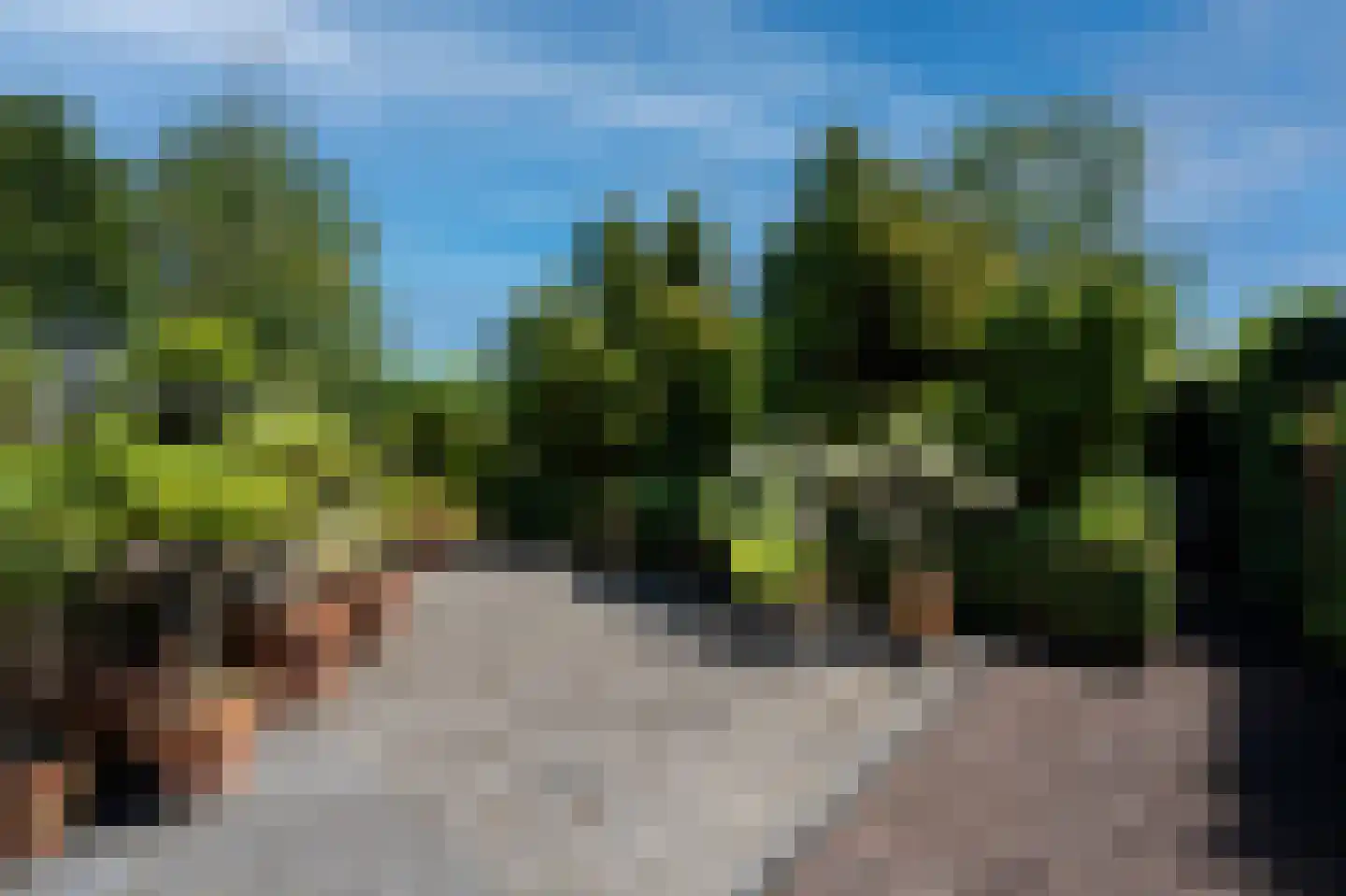 De Burcht 2 Markenbinnen thumbnail 35