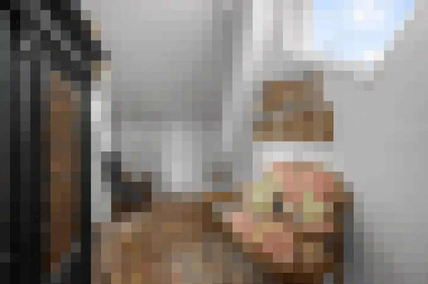 De Burcht 2 Markenbinnen thumbnail 37