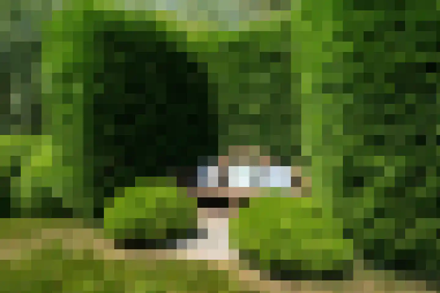 De Burcht 2 Markenbinnen thumbnail 39