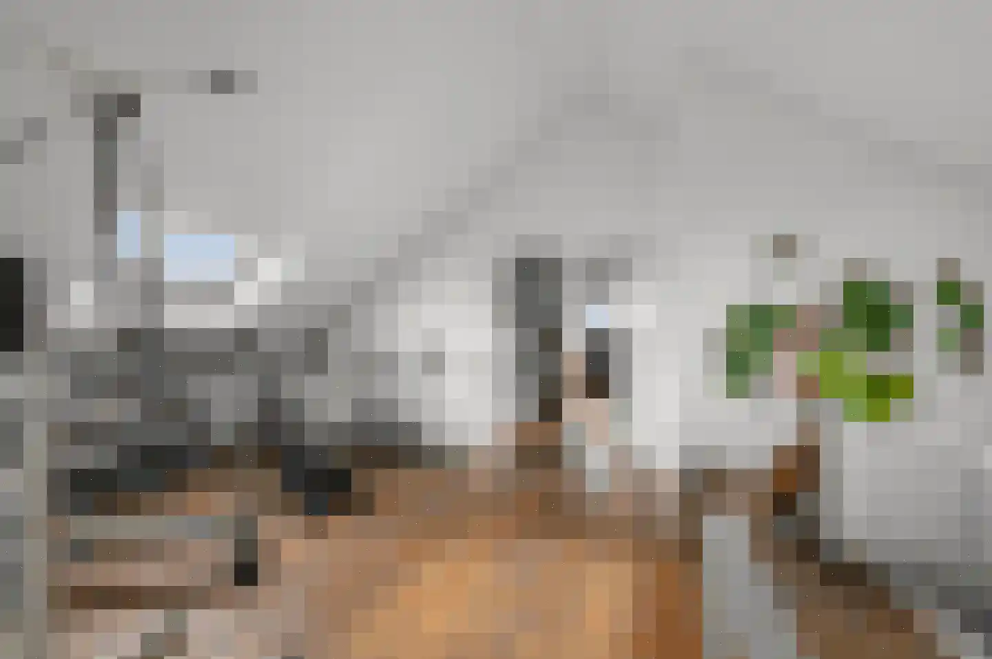 De Burcht 2 Markenbinnen thumbnail 40