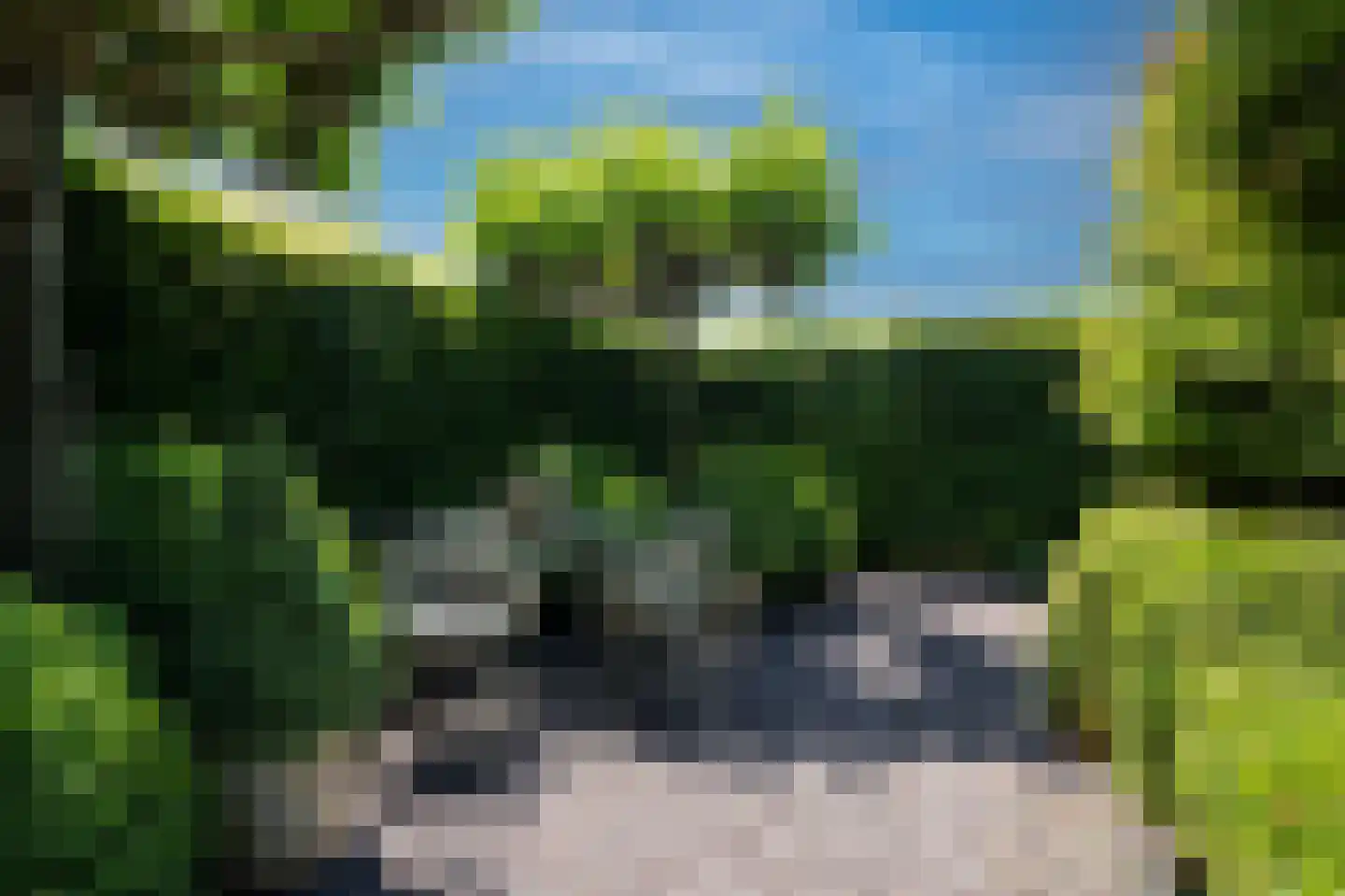 De Burcht 2 Markenbinnen thumbnail 42