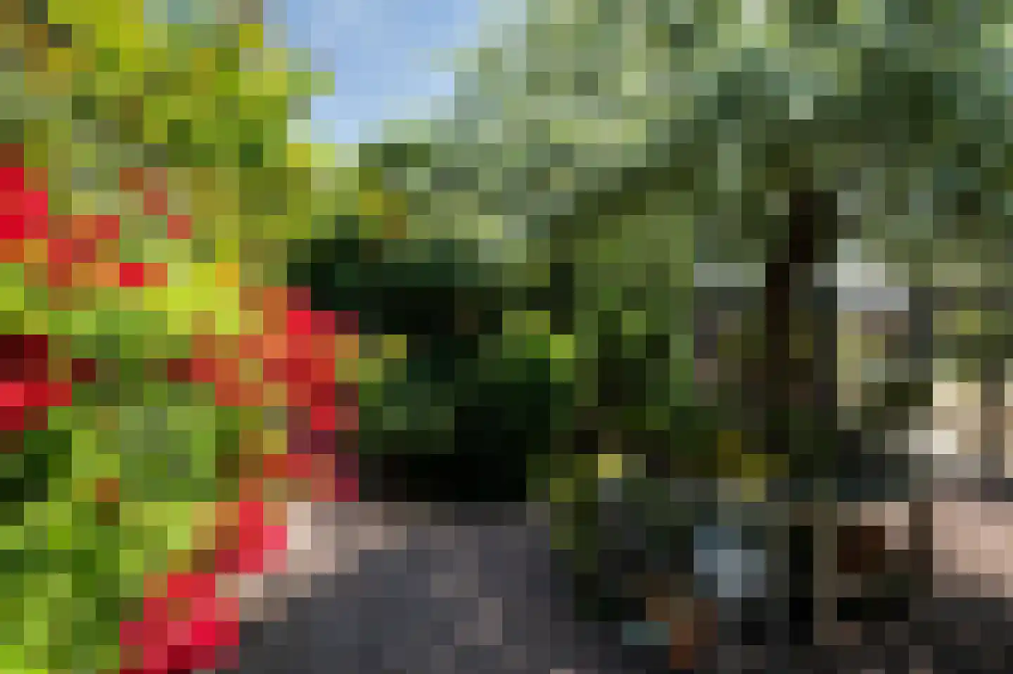 De Burcht 2 Markenbinnen thumbnail 46