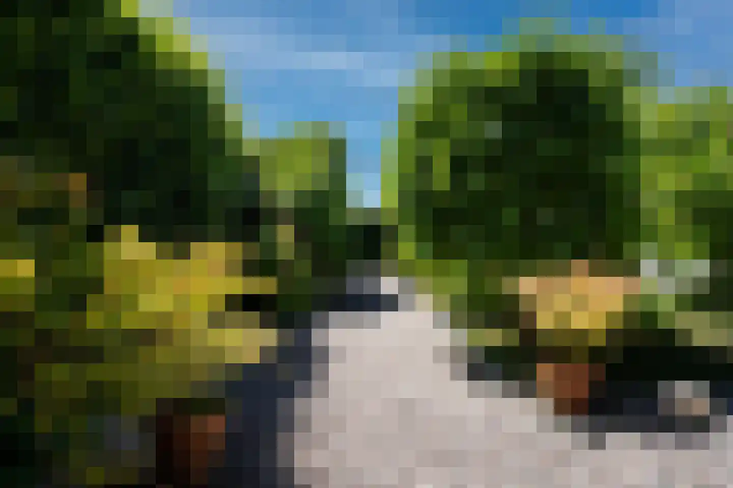 De Burcht 2 Markenbinnen thumbnail 47
