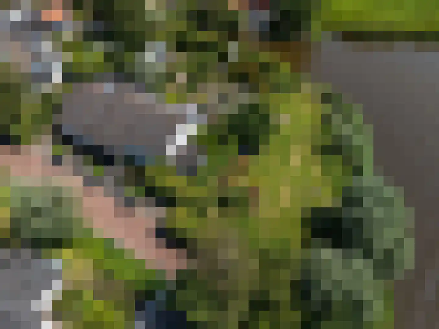 De Burcht 2 Markenbinnen thumbnail 47