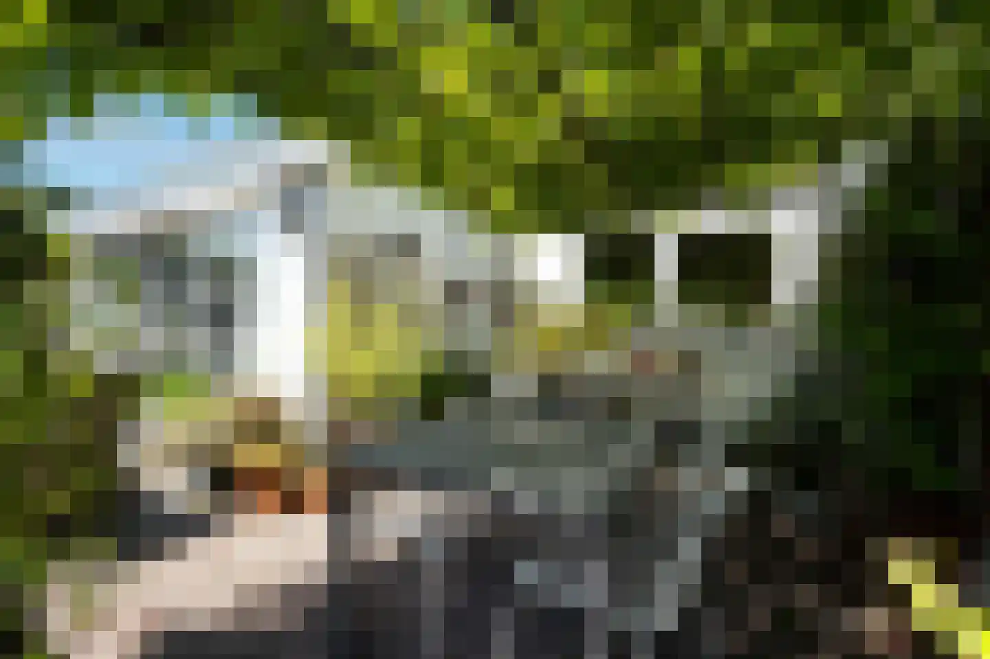 De Burcht 2 Markenbinnen thumbnail 49