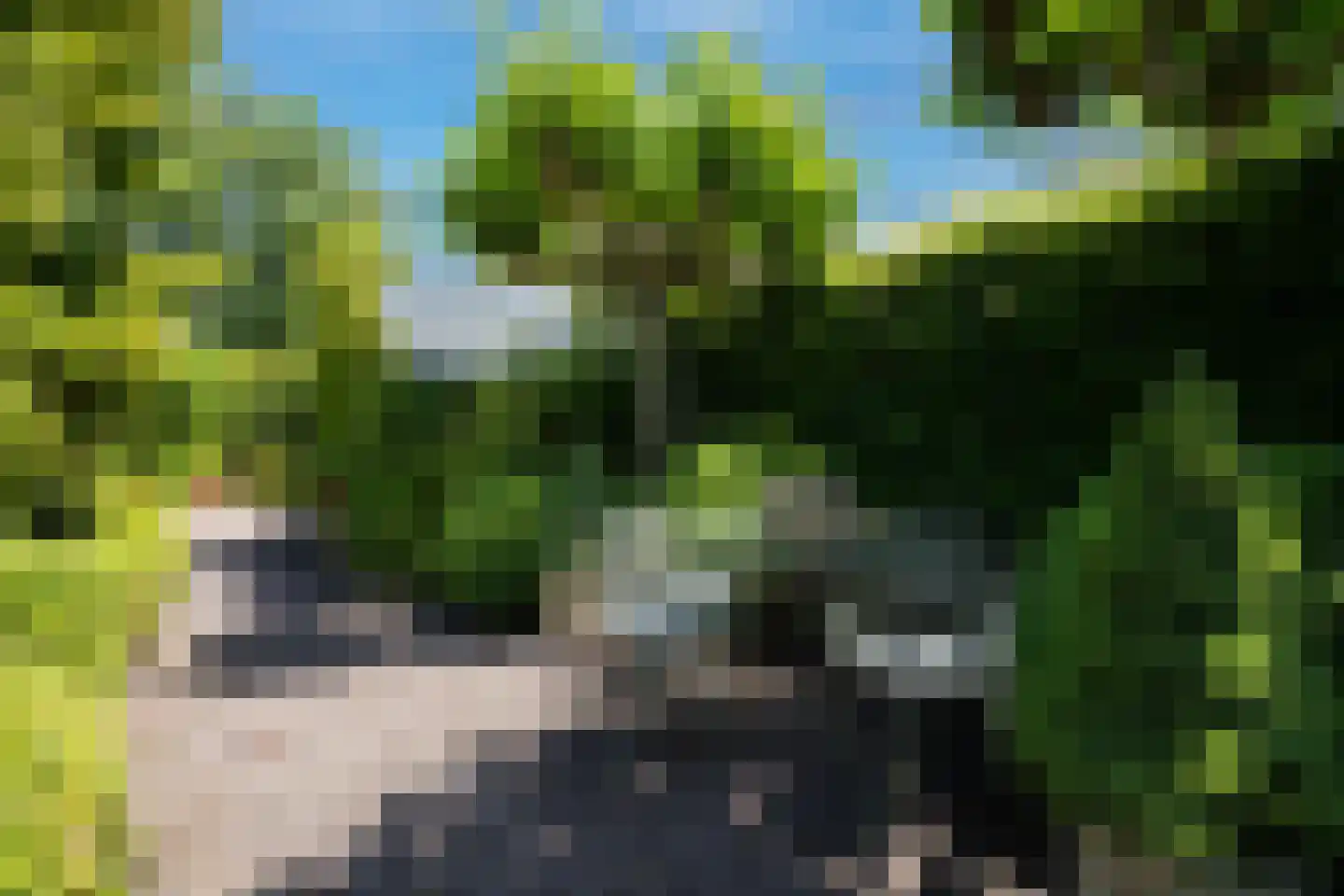 De Burcht 2 Markenbinnen thumbnail 54