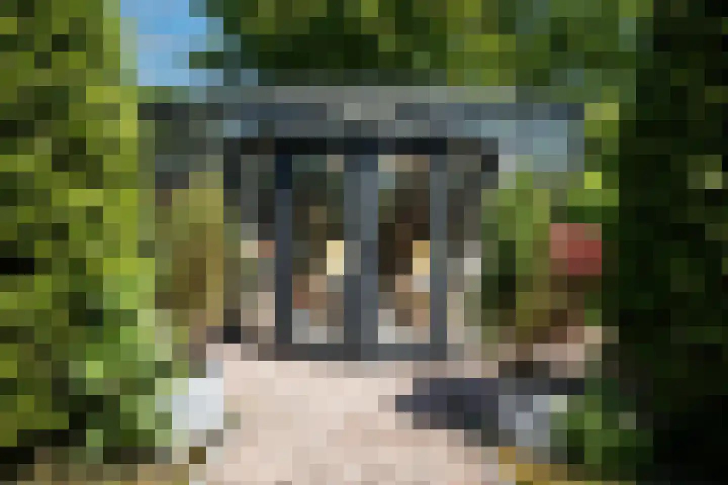 De Burcht 2 Markenbinnen thumbnail 56