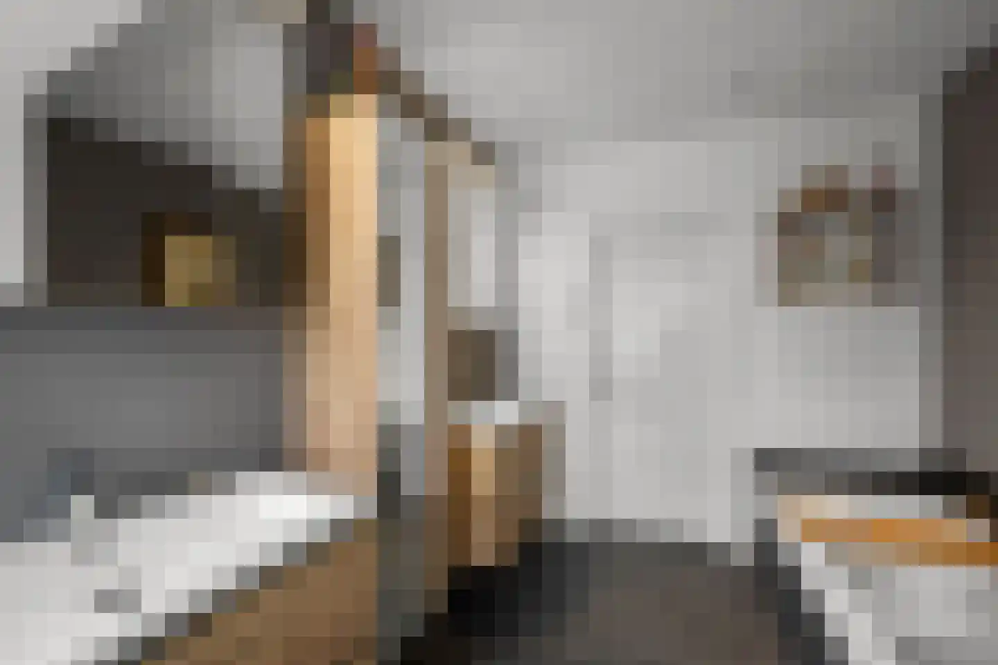 De Burcht 2 Markenbinnen thumbnail 57