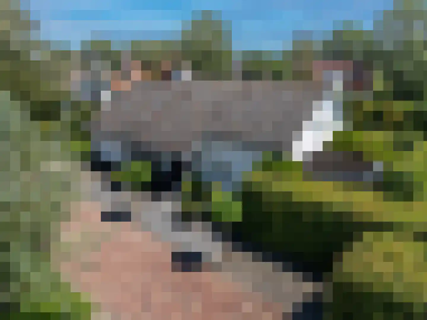 De Burcht 2 Markenbinnen thumbnail 6