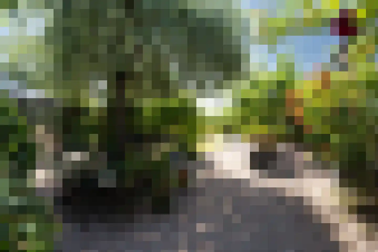 De Burcht 2 Markenbinnen thumbnail 60
