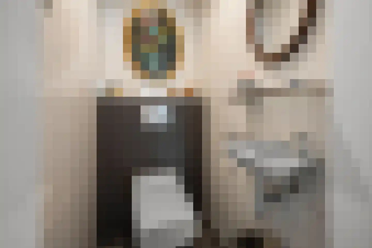 De Burcht 2 Markenbinnen thumbnail 61