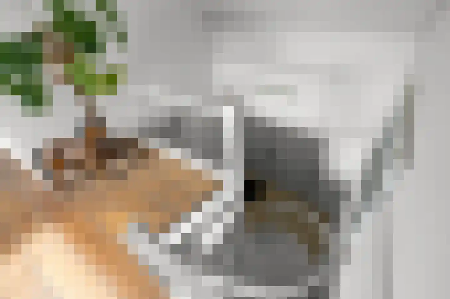 De Burcht 2 Markenbinnen thumbnail 62
