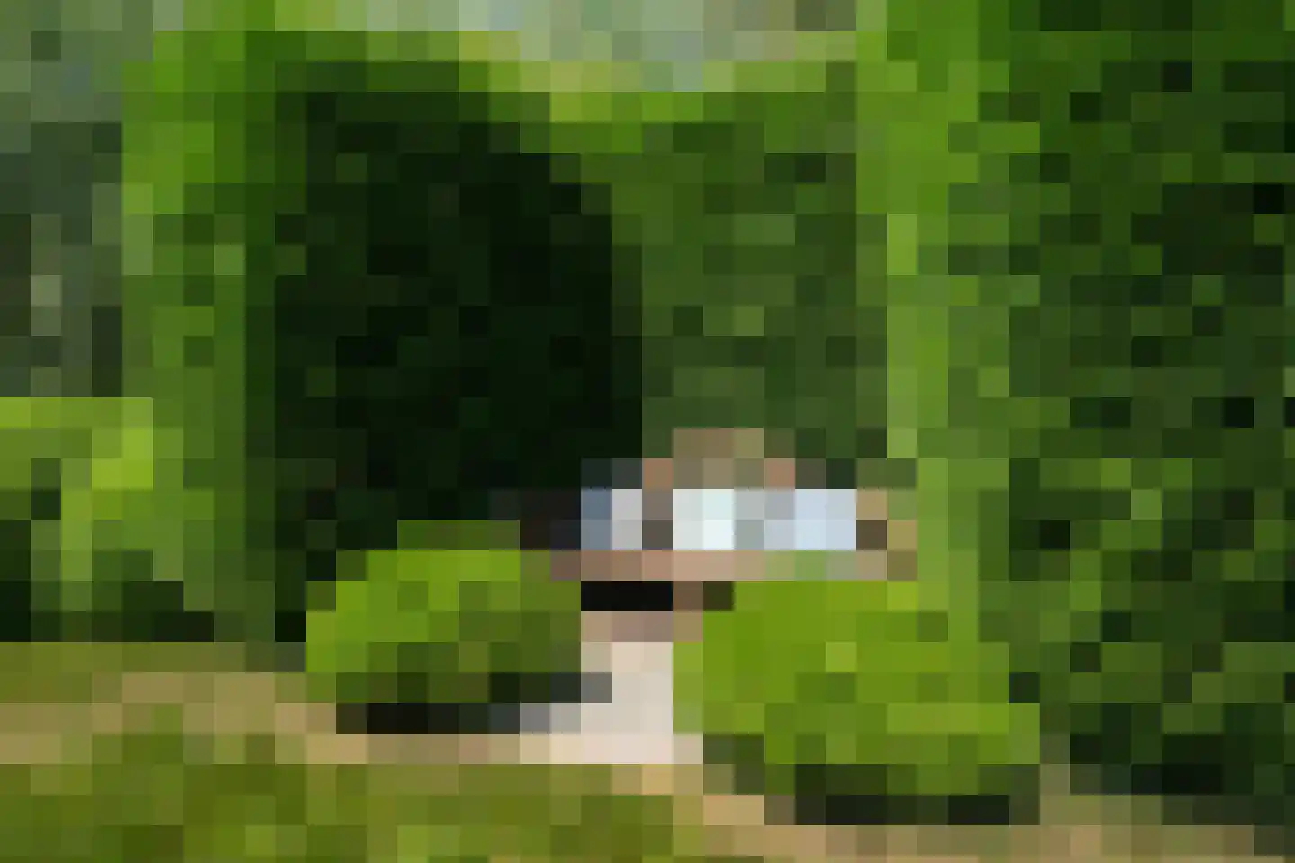 De Burcht 2 Markenbinnen thumbnail 64
