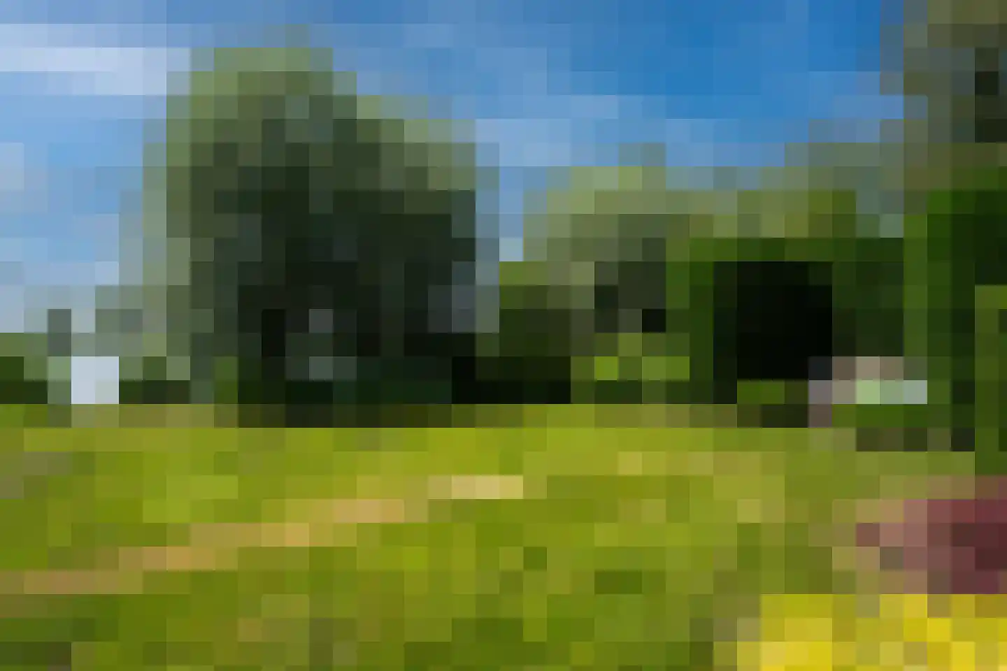 De Burcht 2 Markenbinnen thumbnail 65