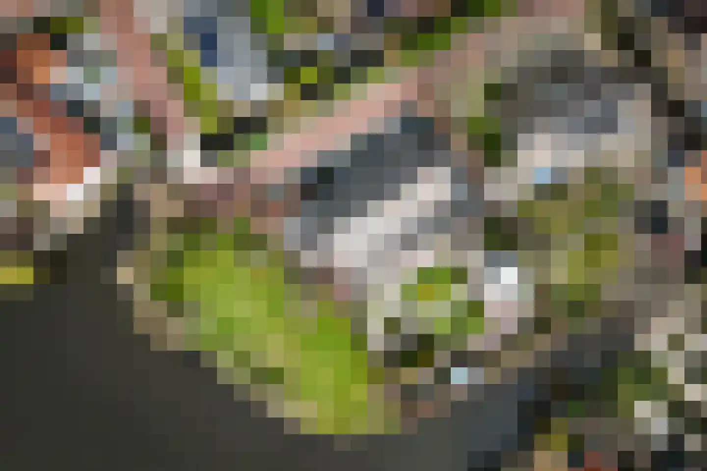 De Burcht 2 Markenbinnen thumbnail 68