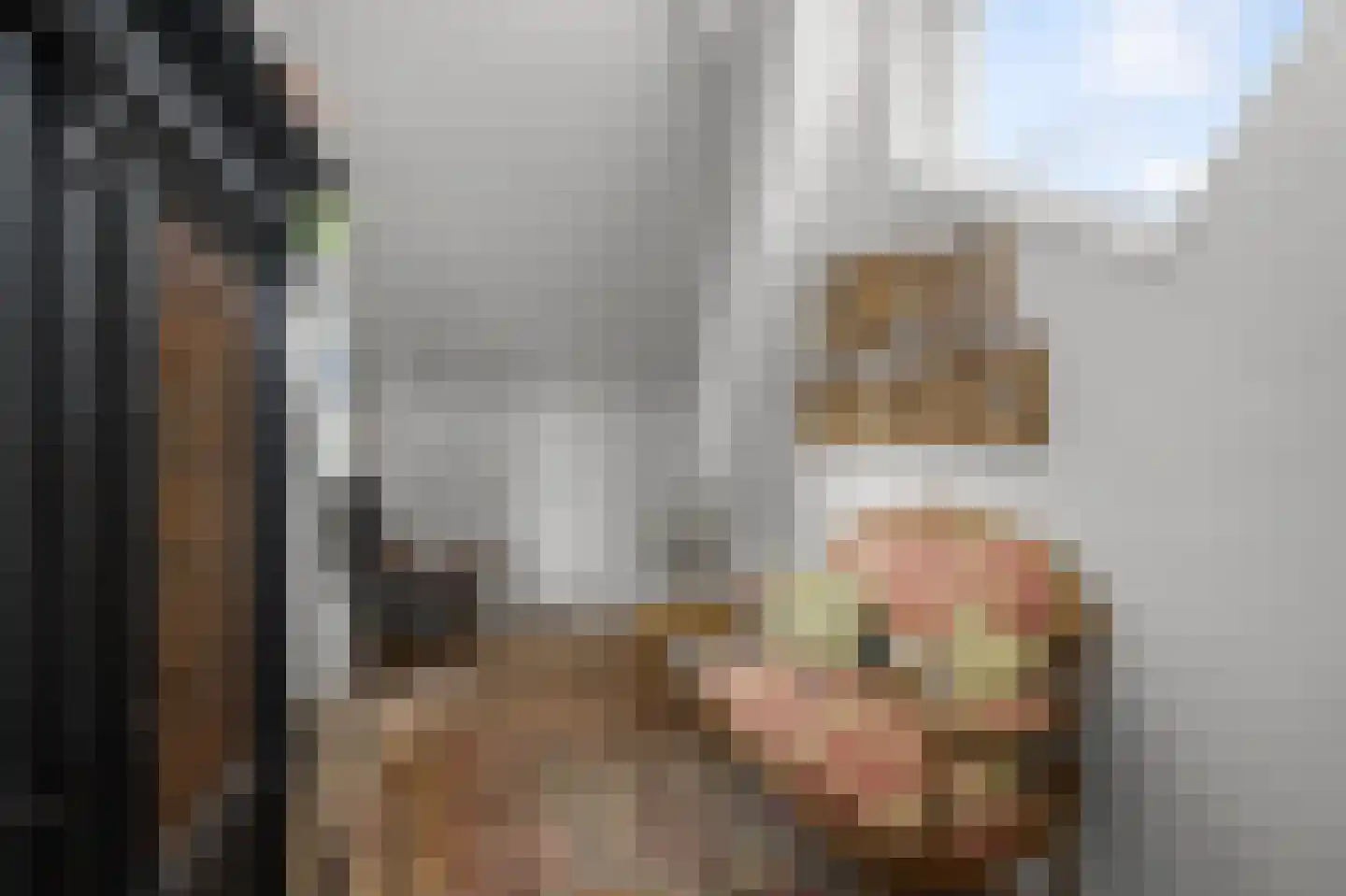 De Burcht 2 Markenbinnen thumbnail 68
