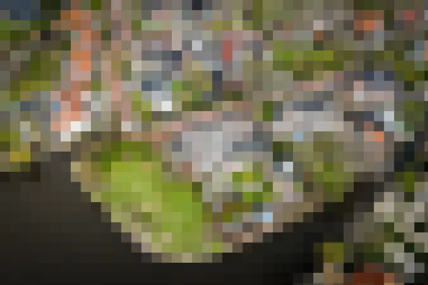 De Burcht 2 Markenbinnen thumbnail 69