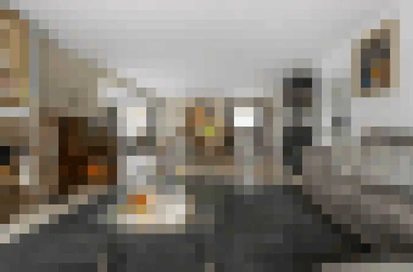 De Burcht 2 Markenbinnen thumbnail 7