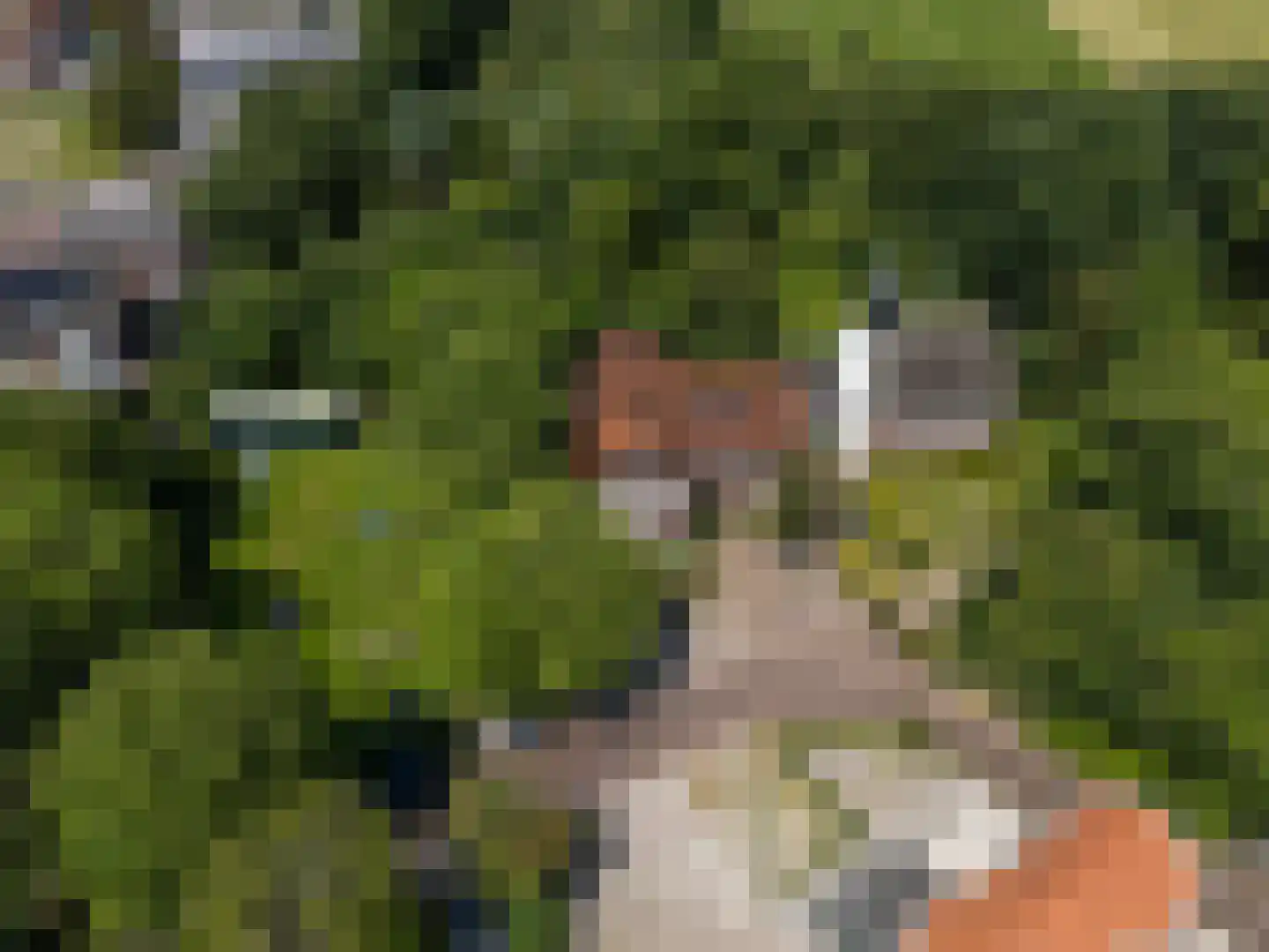 De Burcht 2 Markenbinnen thumbnail 70