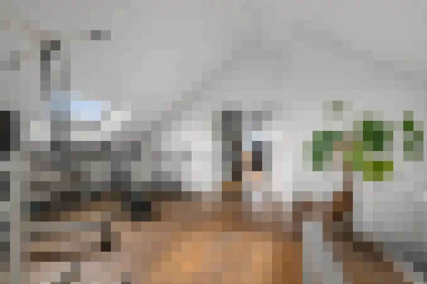 De Burcht 2 Markenbinnen thumbnail 70
