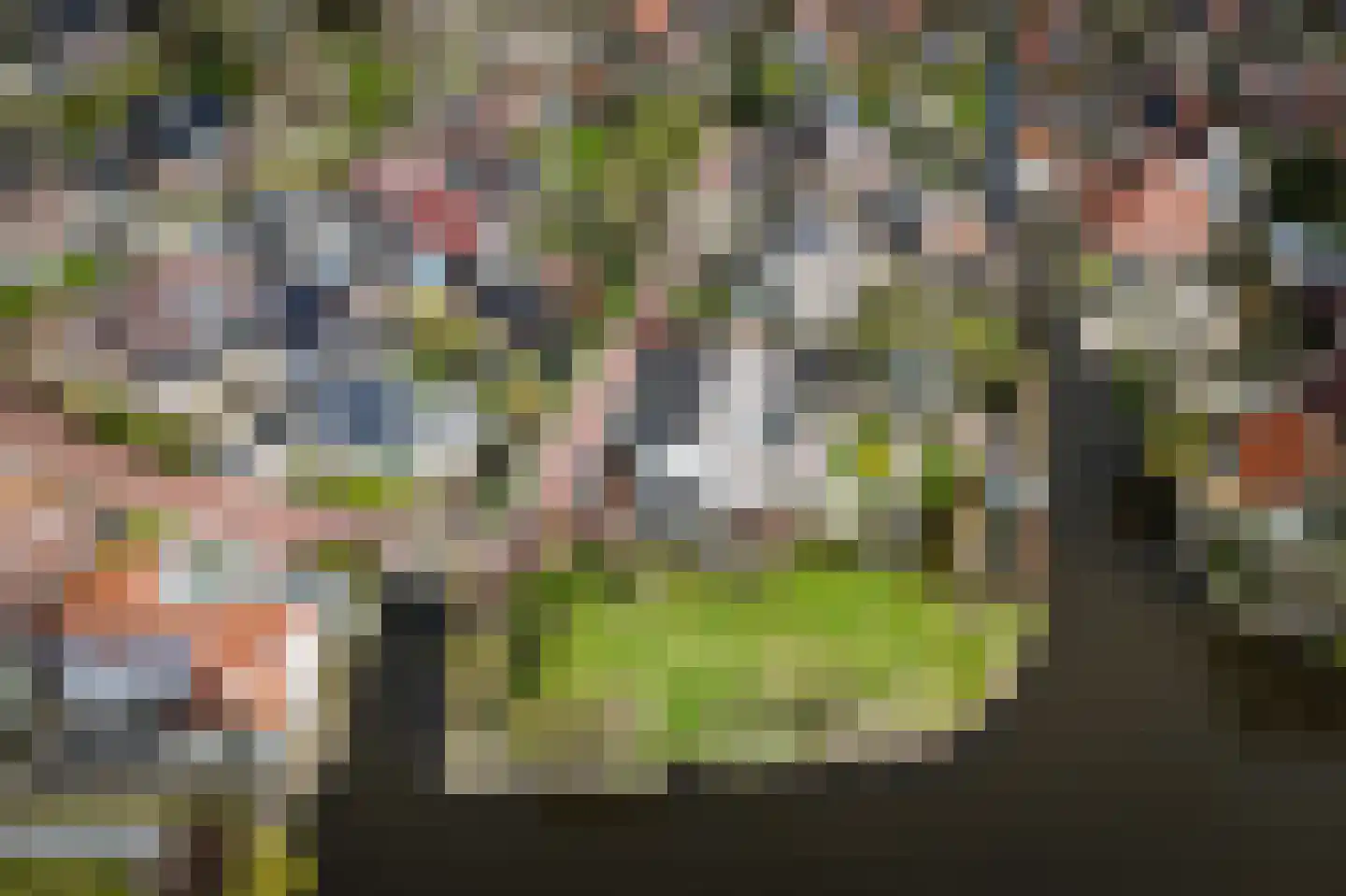 De Burcht 2 Markenbinnen thumbnail 70