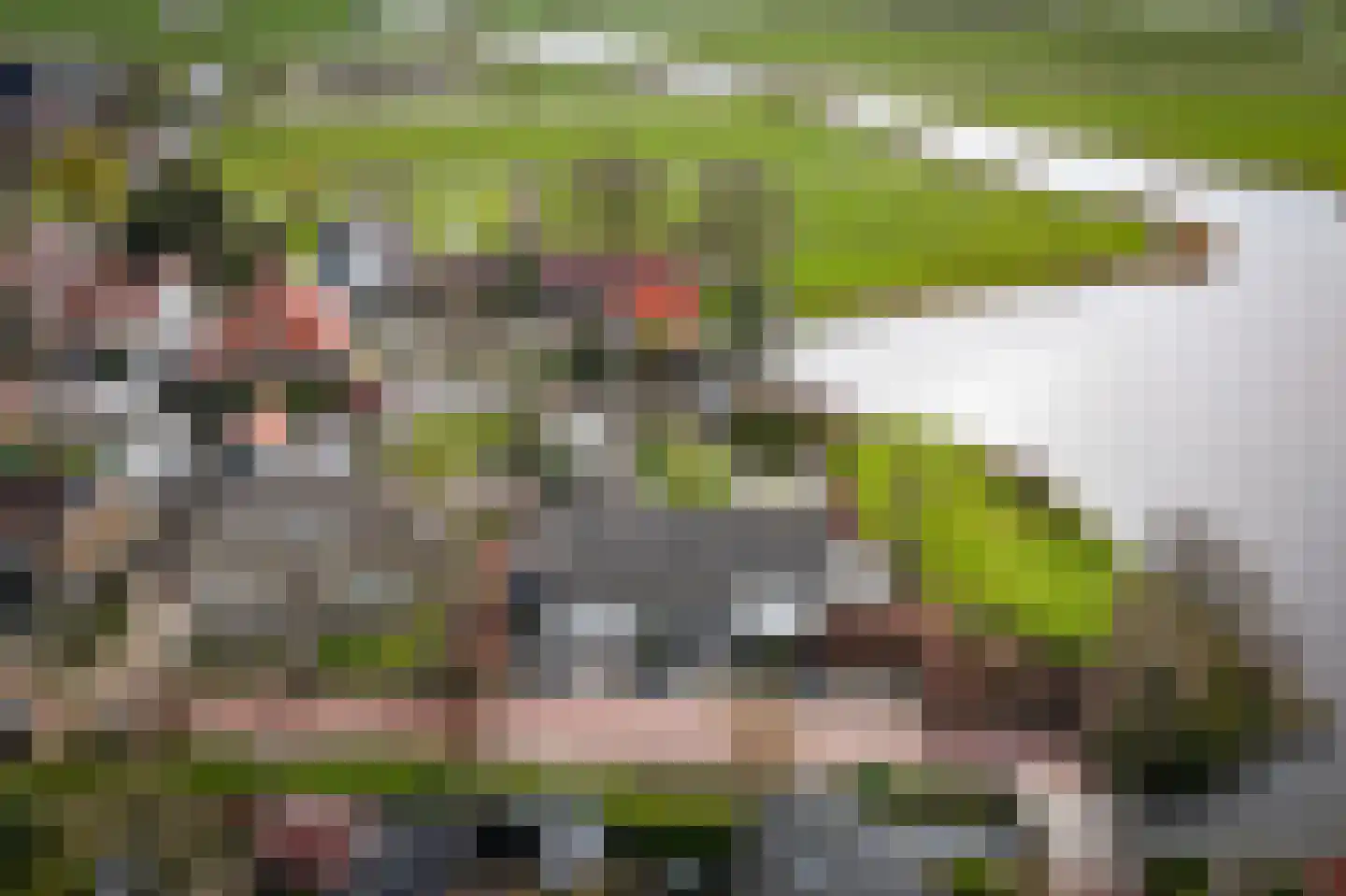 De Burcht 2 Markenbinnen thumbnail 71
