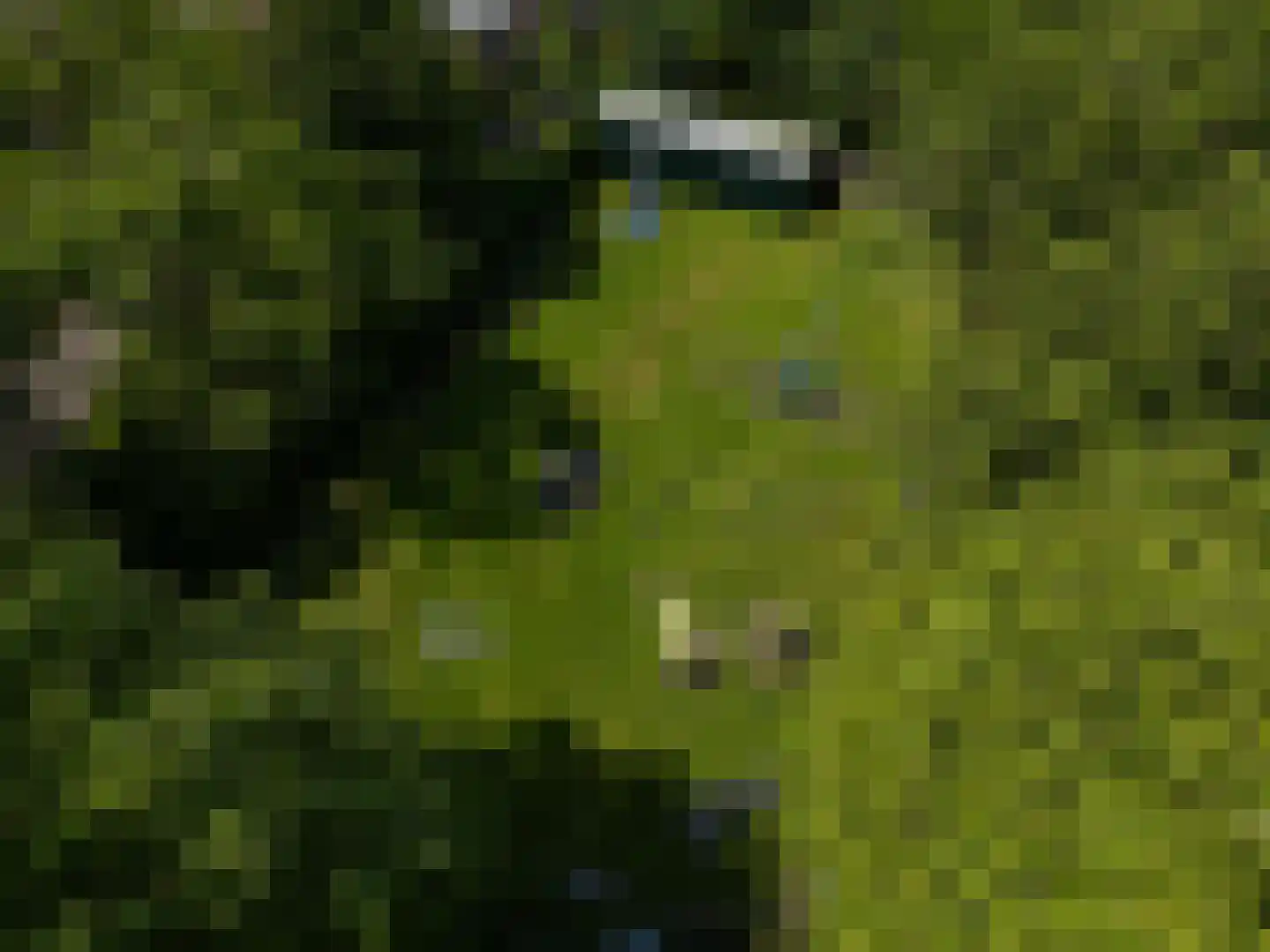 De Burcht 2 Markenbinnen thumbnail 71