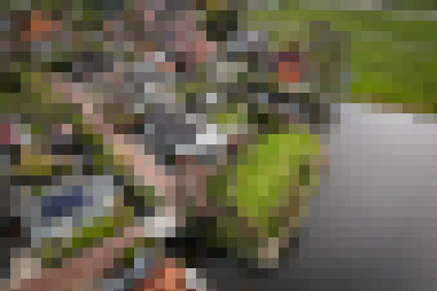 De Burcht 2 Markenbinnen thumbnail 72