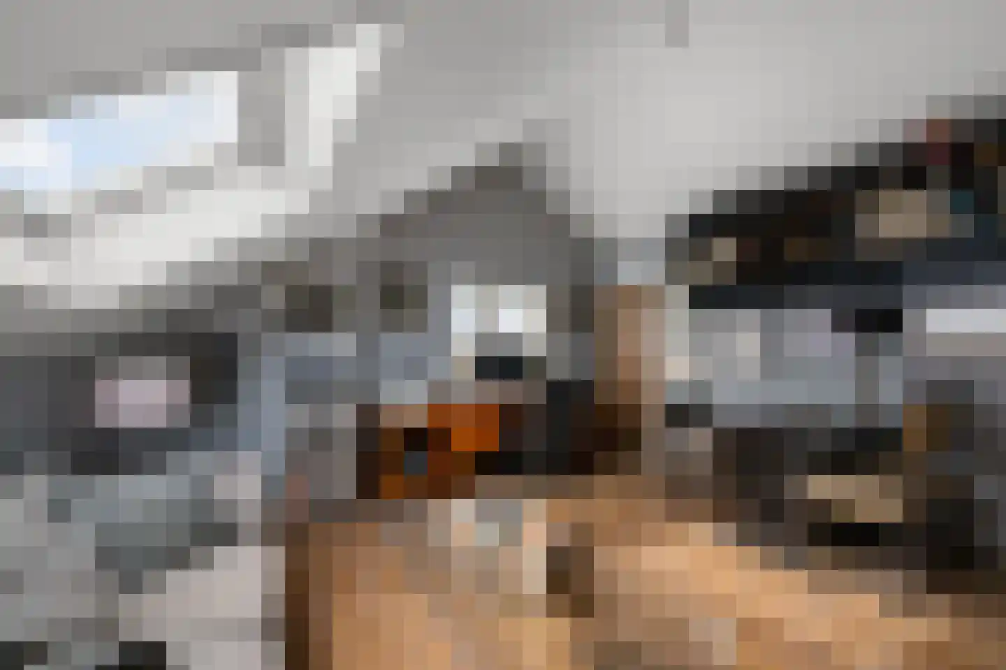 De Burcht 2 Markenbinnen thumbnail 75
