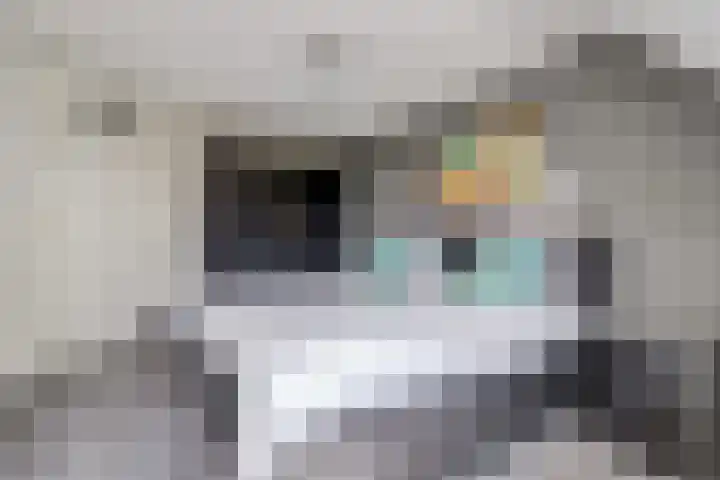 De Burcht 2 Yerseke thumbnail 21
