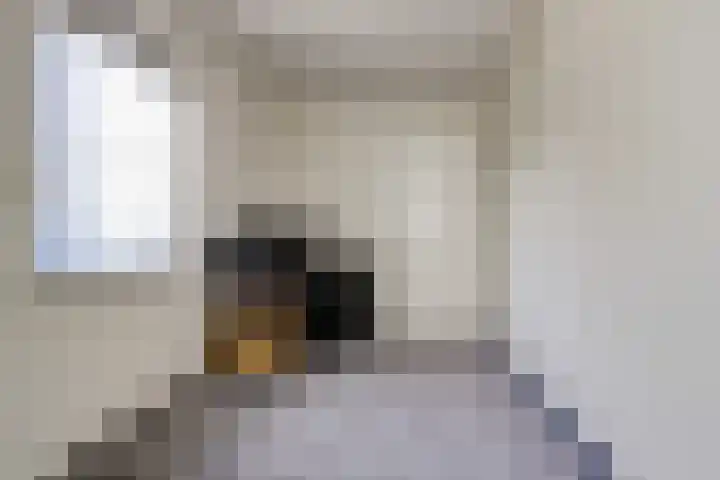 De Burcht 2 Yerseke thumbnail 25