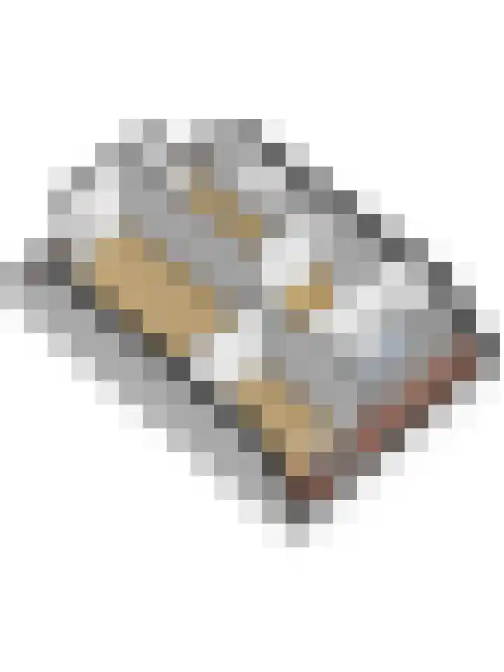De Burcht 2 Yerseke thumbnail 55
