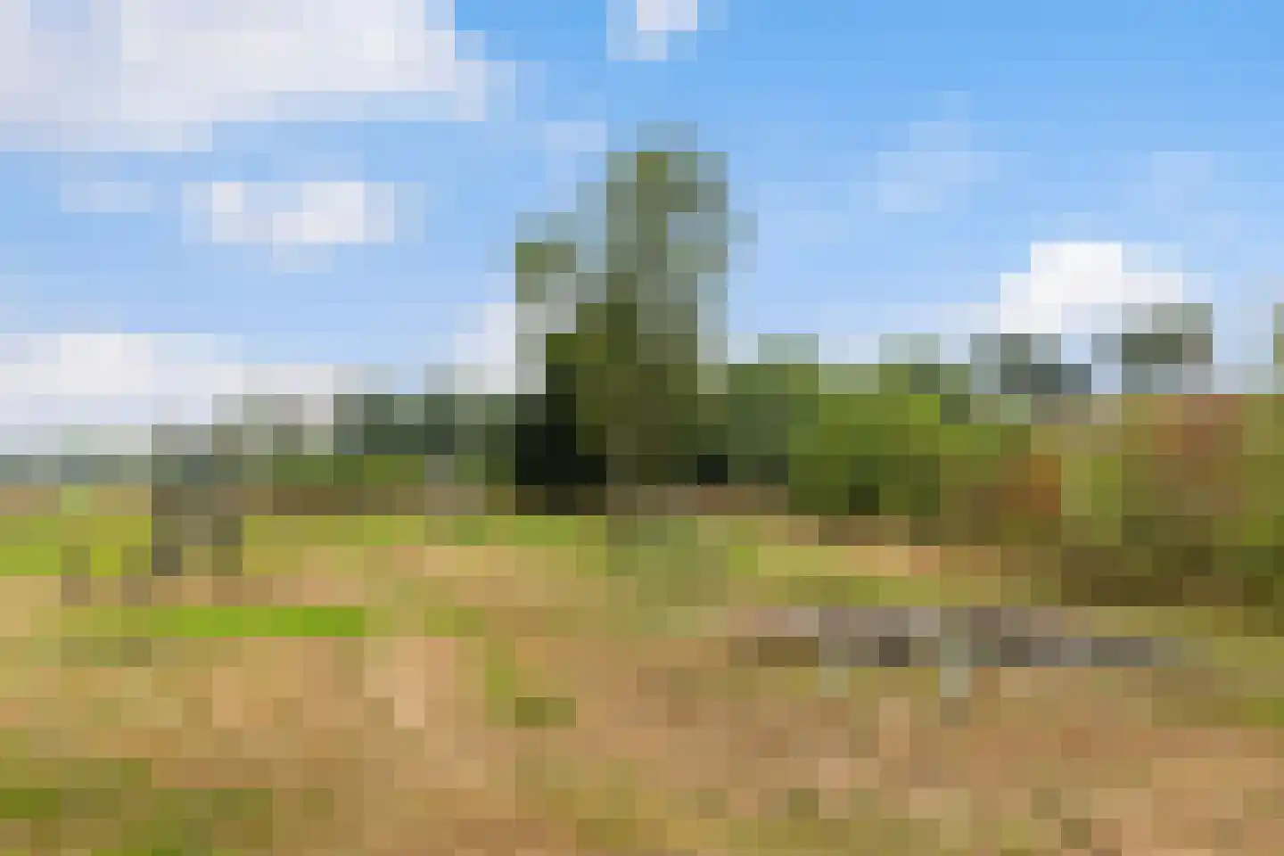 De Burcht 32 Apeldoorn thumbnail 33