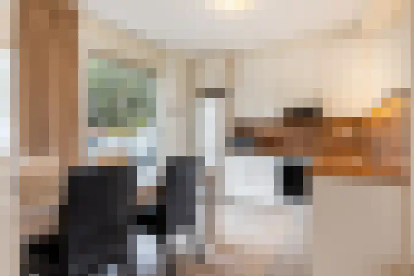 De Burcht 32 Apeldoorn thumbnail 8