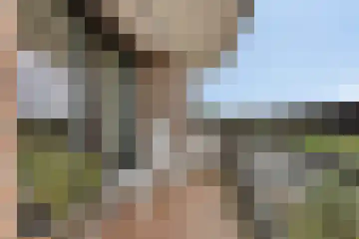 De Burcht 32 Breda thumbnail 12