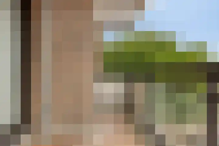 De Burcht 32 Breda thumbnail 13