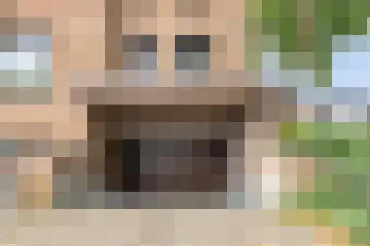 De Burcht 32 Breda thumbnail 26