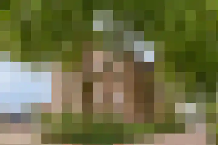 De Burcht 32 Breda thumbnail 28